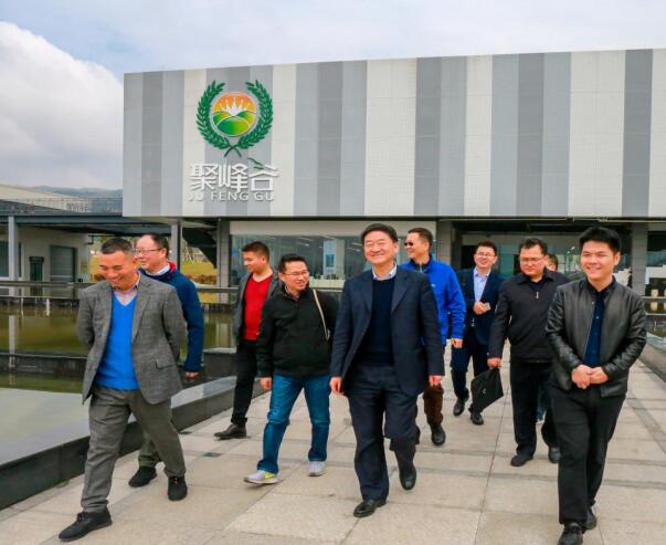 集团党委书记、董事长任丁率队调研聚峰谷