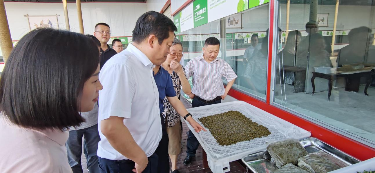省尊龙凯时集团党委副书记、董事陈日赴嘉陵区调研茶桑产业发展情况